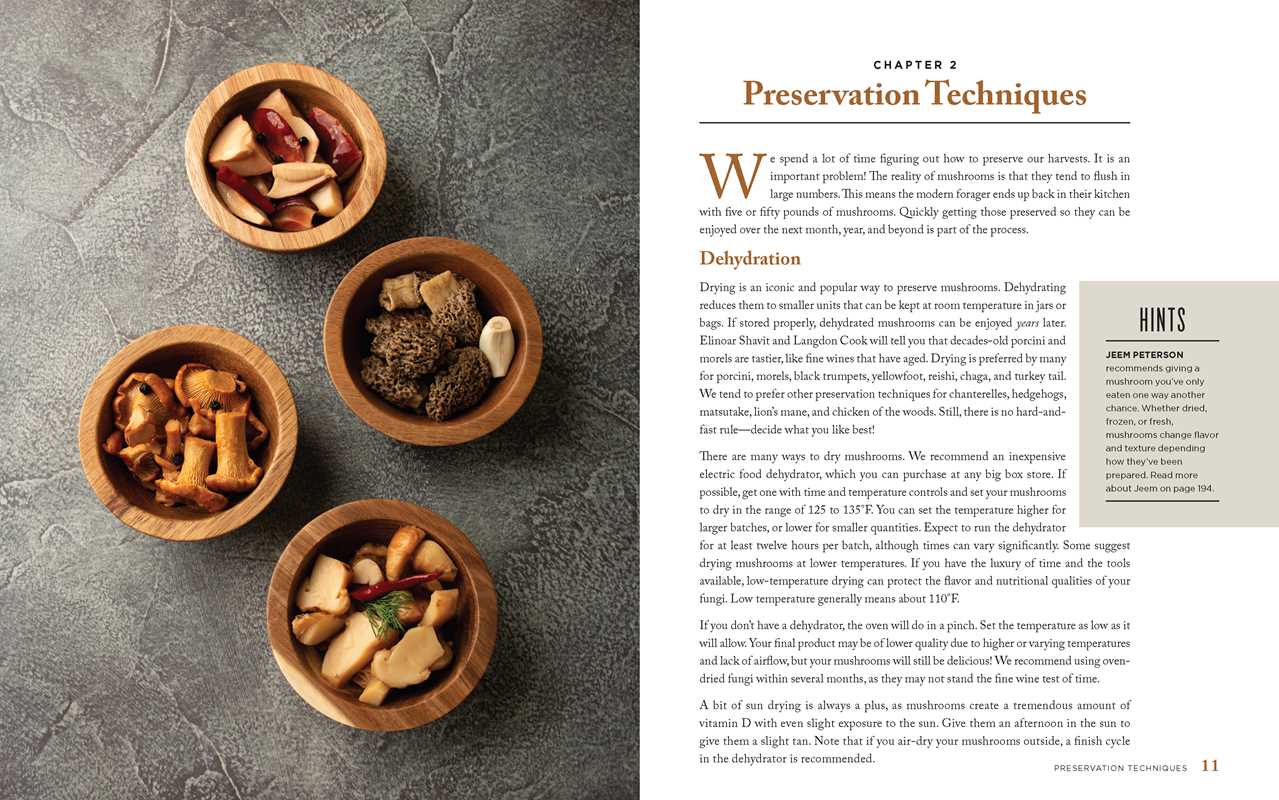 Wild Mushrooms by Kristen Blizzard || Minnesota Made Gifts