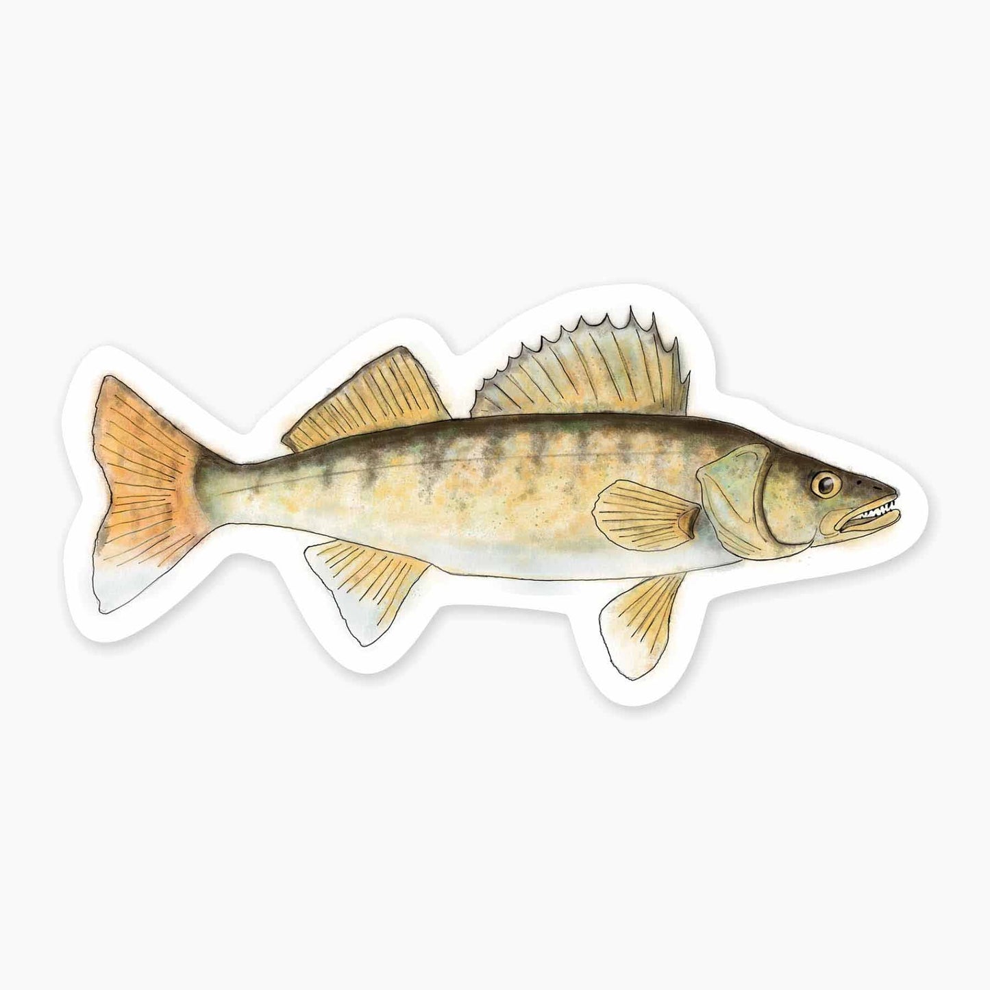 Walleye - 3" Art Sticker