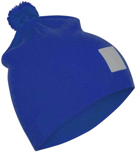 Bjorn Daehlie Hat Tradition Surf the Web