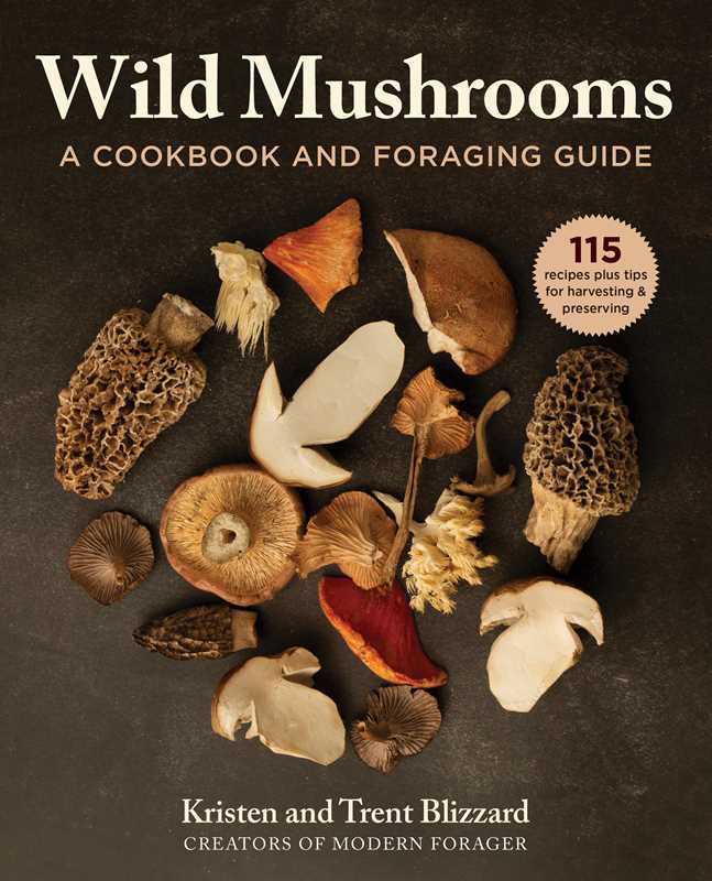 Wild Mushrooms by Kristen Blizzard || Minnesota Made Gifts