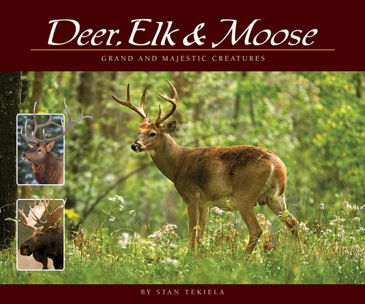 Deer, Elk, & Moose; Tekiela