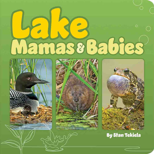 Lake Mamas & Babies by Stan Tekiela
