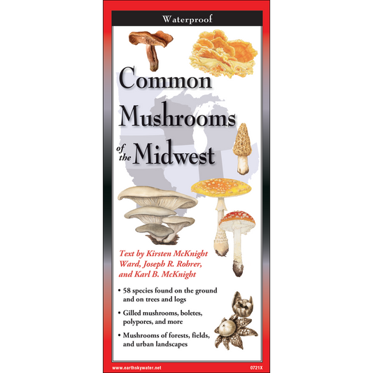 FoldingGuides™ – Common Mushrooms of the Midwest