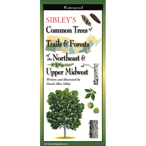 FoldingGuides™- Sibley's Common Trees of Trails & Forests of the Northeast & Upper Midwest