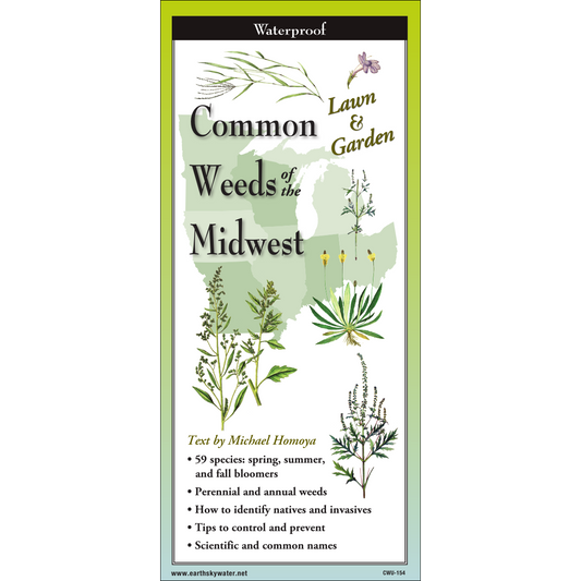 FoldingGuides™ – Common Weeds of the Midwest