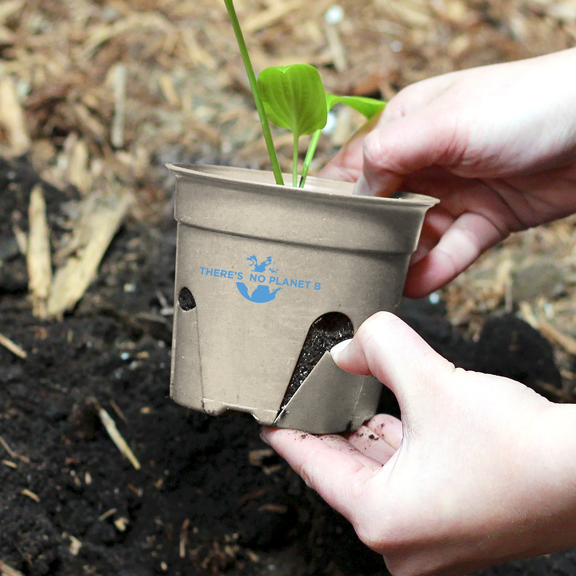 can you plant compostable pots 6-Pack of There is no Planet B Compostable Pots – Northern Goods